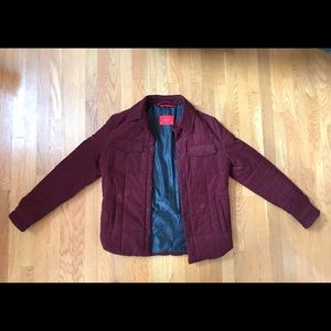 Zara- Men’s Winter Jacket Maroon